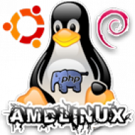 amdlinux