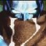 Killer_Fox