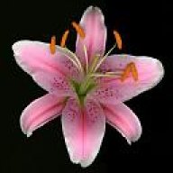 Amarie
