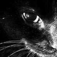 blackcat