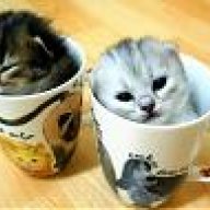 samsui