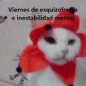 nosinside2