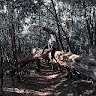 fioblac