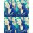 carlos_eel